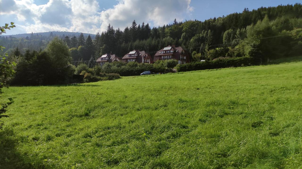 Apartamenty Kletno Stronie Śląskie 外观 照片
